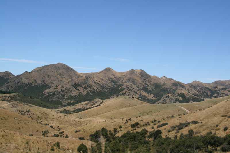 Nieuw-Zeeland 2011 - 1269